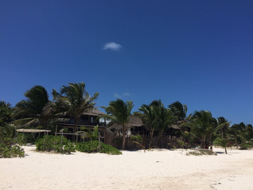 Intentan nuevo desalojo en zona costera de Tulum