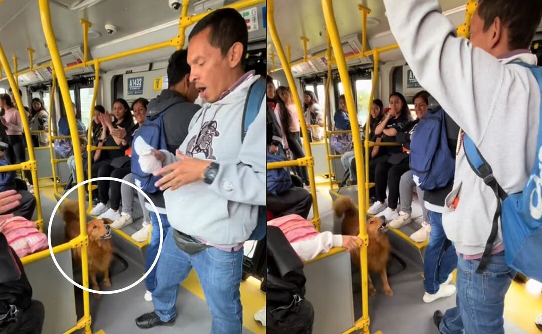 El perrito ganó decenas de fans tras viralizarse en TikTok. Foto: TikTok @kevinnkeloke