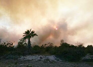 Incendio en El Estero consume 20 hectáreas en San José del Cabo