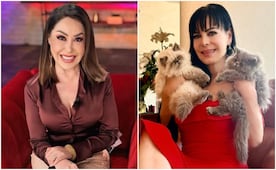 ¿Quién es Addis Tuñón y qué es lo que ha dicho sobre Maribel Guardia?