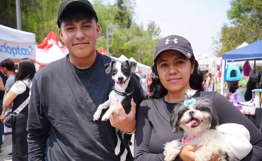 Se realizó el Segundo Adoptatón de perros y gatos en la 2ª Sección del Bosque de Chapultepec. Foto: Especial