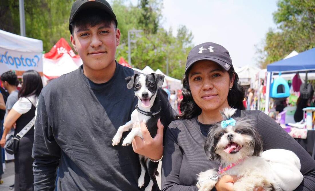 Se realizó el Segundo Adoptatón de perros y gatos en la 2ª Sección del Bosque de Chapultepec. Foto: Especial