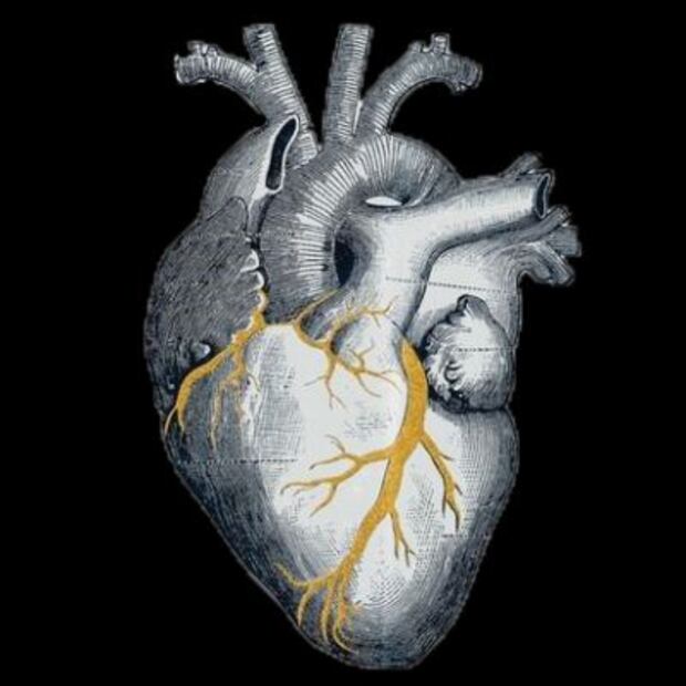 La aplicación del kintsugi emocional en nuestra vida diaria nos permite prosperar ante la adversidad. Fuente: Freepik.