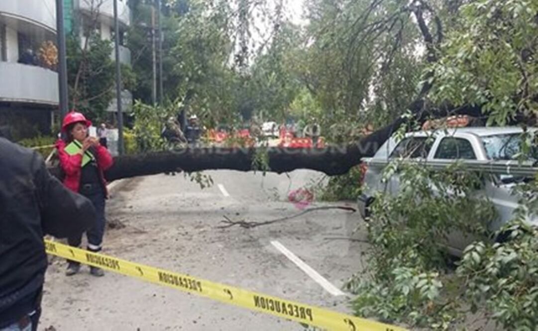 (Foto: Twitter @OVIALCDMX)