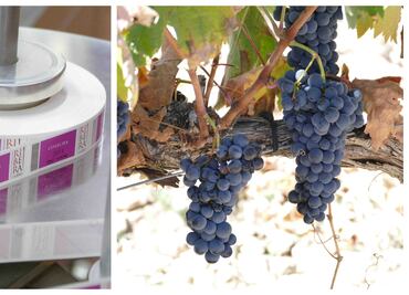 Ribera del Duero, los mejores vinos de España para el mundo