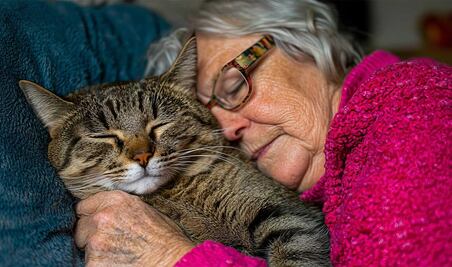 Día del Gato 2025: ¿qué es la terapia asistida con gatos?; conoce sus beneficios