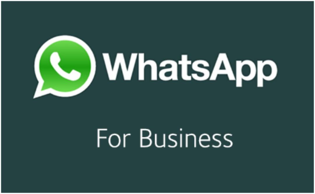 WhatsApp Business por ahora cuenta son sólo algunas empresas con perfiles verificados para certificar que son oficiales