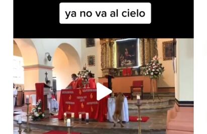 Firulais ya no va al cielo: video en Tik Tok del perrito que se roba pan durante misa