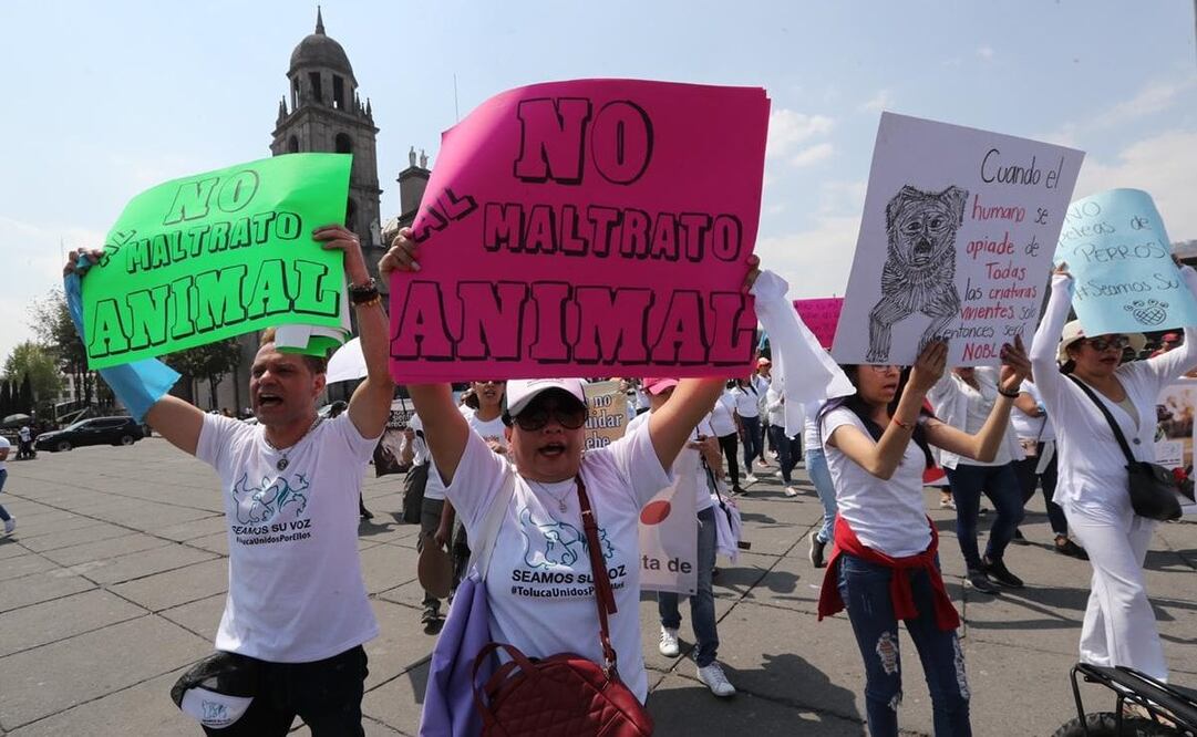 Foto: Jorge Alvarado. EL UNIVERSAL