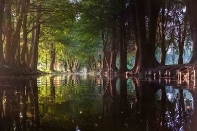7 tours en Xochimilco fuera de lo común y que no querrás perderte