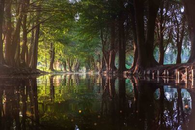7 tours en Xochimilco fuera de lo común y que no querrás perderte