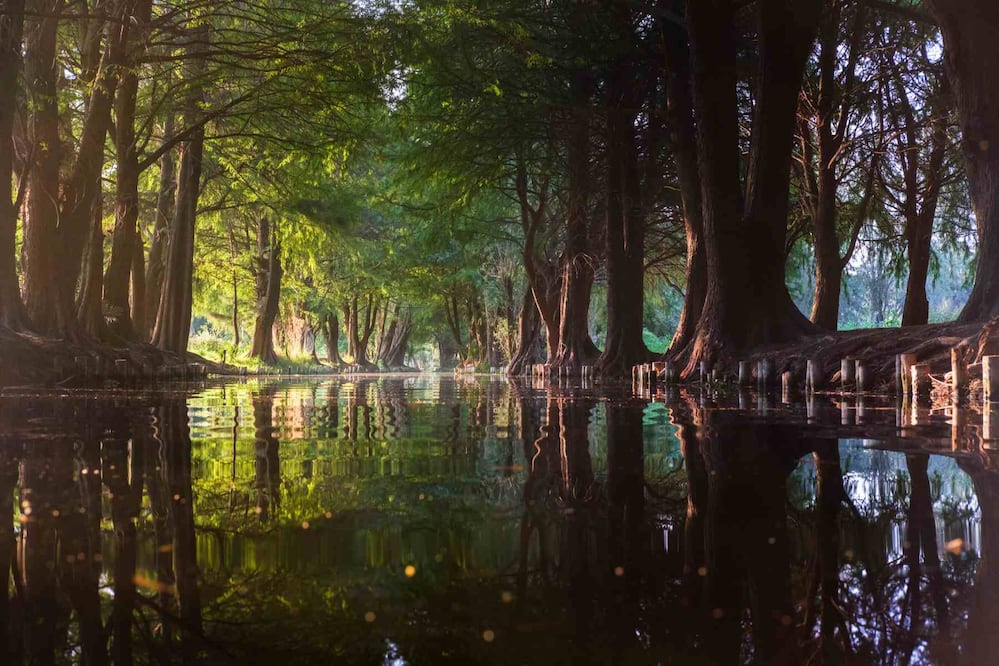Hay tours fuera de lo común que te muestran la cara auténtica de este Patrimonio de la Humanidad. Foto: Eneas De Troya. Flikr. Creative Commons