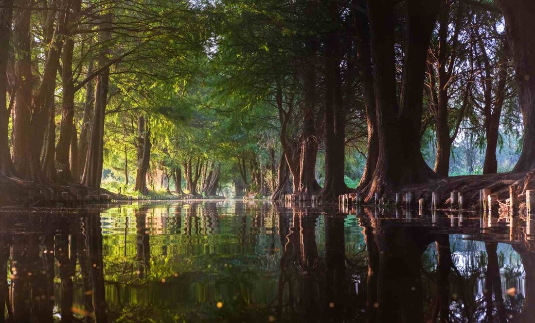 Hay tours fuera de lo común que te muestran la cara auténtica de este Patrimonio de la Humanidad. Foto: Eneas De Troya. Flikr. Creative Commons