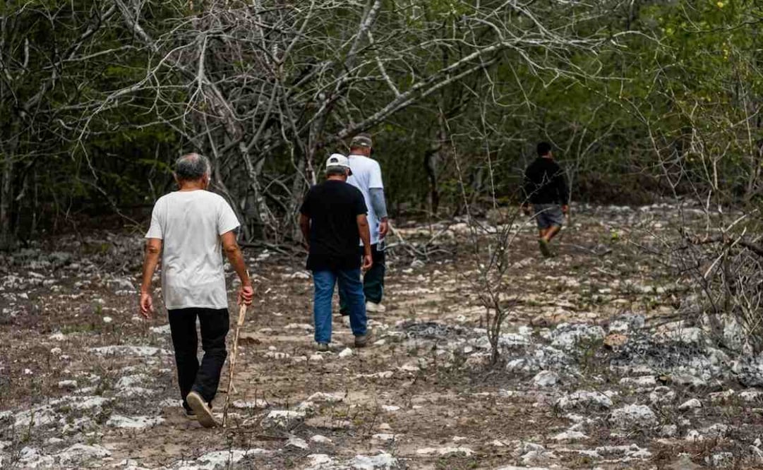 Tres sujetos van a prisión por despojo de un predio en Celestún, Yucatán. Foto: Especial.