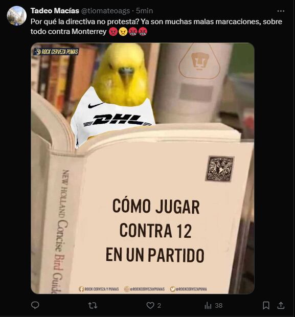 Los MEJORES MEMES de la derrota polémica de Pumas