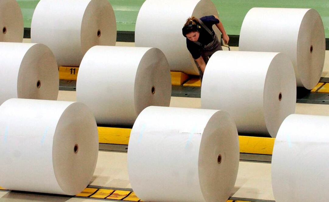 “Las empresas a concentrarse coinciden en la fabricación de papel bond en rollo y bond cortado, ambos para uso de impresión y escritura", dijo la Cofece  Foto: EFE/Archivo