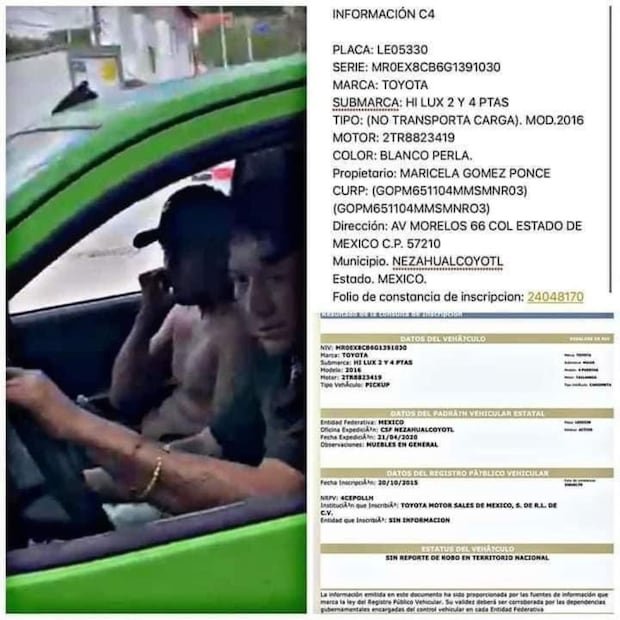 Roban icónicas ranas del Sr Frogs de Acapulco