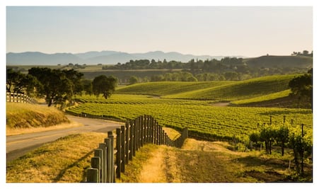 Un road trip a la California del vino