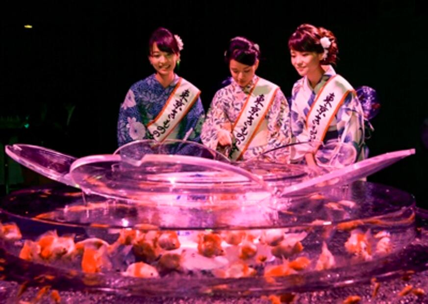 Una exposición en Tokio reinventa los acuarios tradicionales