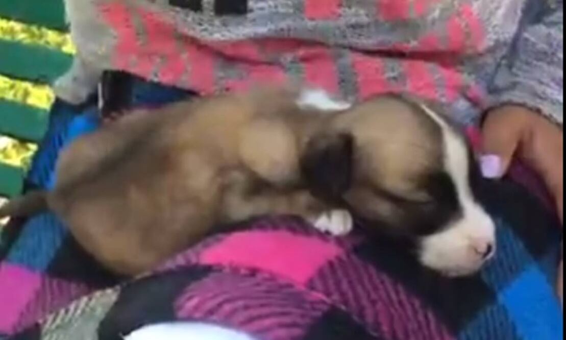 (TOMADA DE FACEBOOK EL UNIVERSAL ESTADOS)