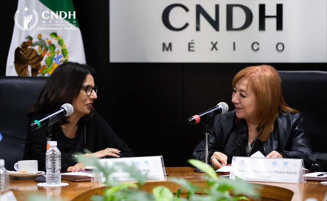  Rosario Piedra, presidenta de la Comisión Nacional de los Derechos Humanos. Foto: Especial