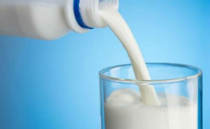 Chamyto, Danonino, Lala Bio4 y Época Cool incumplen con norma: Profeco