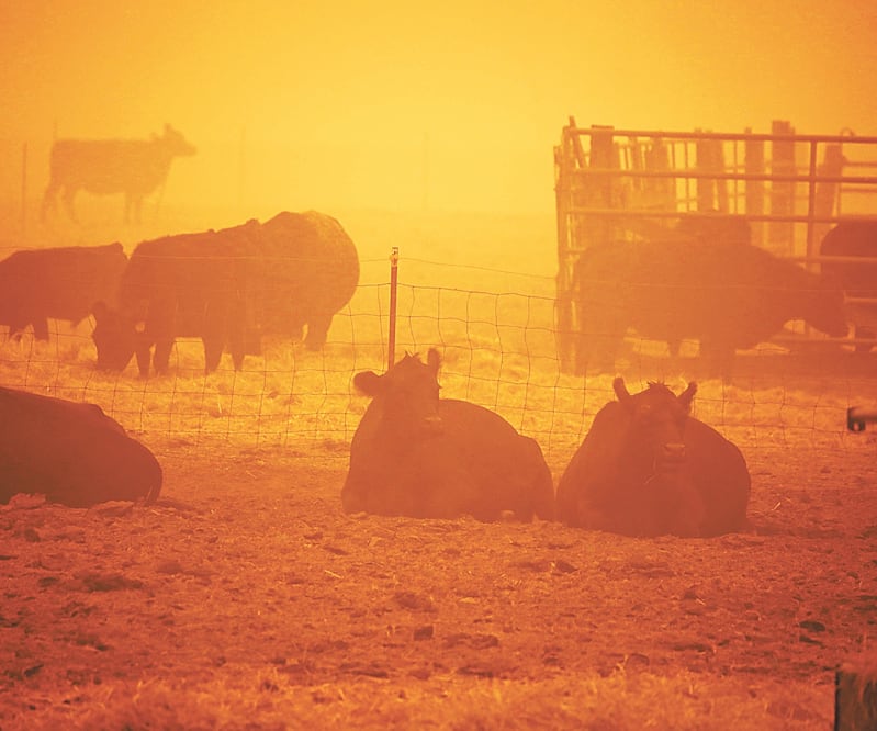 El cielo teñido de naranja, por el humo que se mezcló con la niebla, se vio ayer en Molalla, Oregon. Foto: DEBORAH BLOOM. AFP