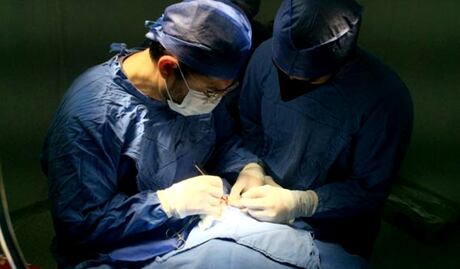 Avanza estrategia del IMSS en la recuperación de servicios de salud