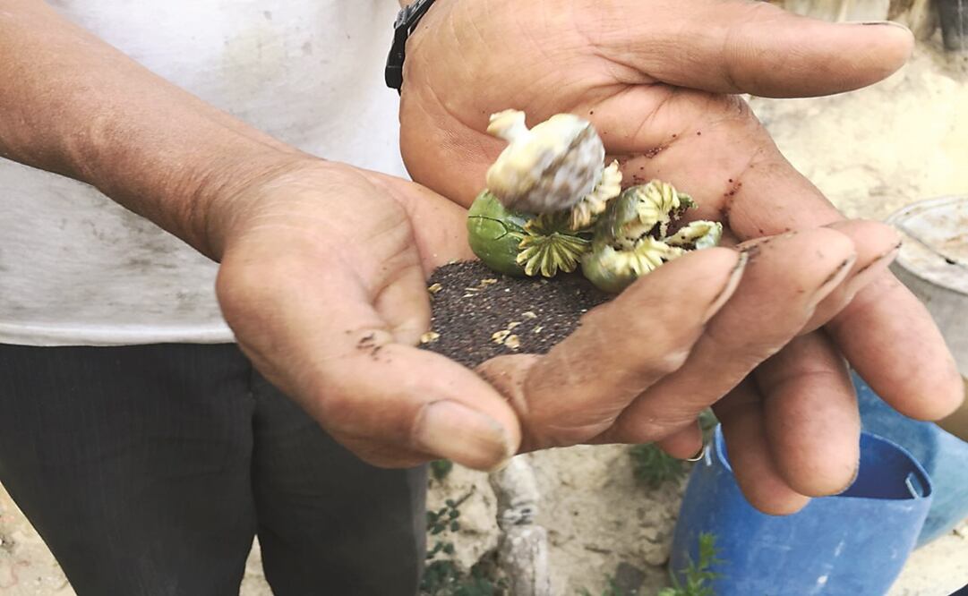 Foto: Archivo/ EL UNIVERSAL