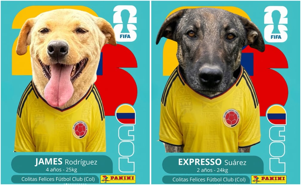 En Argentina y Colombia, fundaciones y centros de adopción realizaron creativas campañas de adopción de perritos, inspiradas en el álbum del Mundial 2026. Foto: Instagram @fundacioncolitasfelices