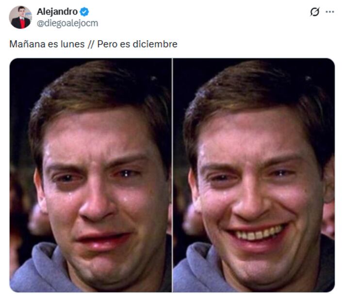 Memes de diciembre. Foto: X