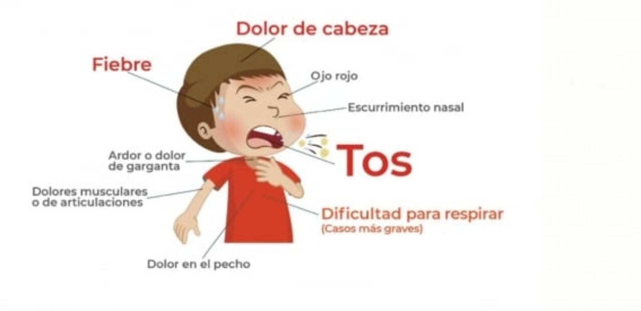 Chatea con Susana Distancia a través de WhatsApp, te decimos cómo