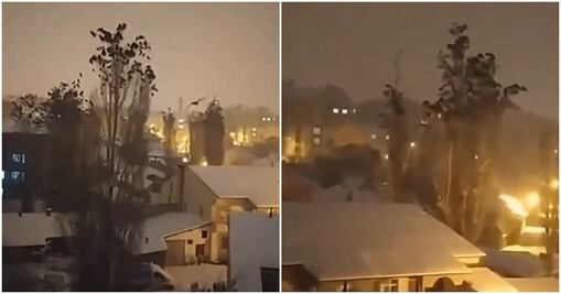 El extraño comportamiento de las aves en Turquía minutos antes del terremoto 