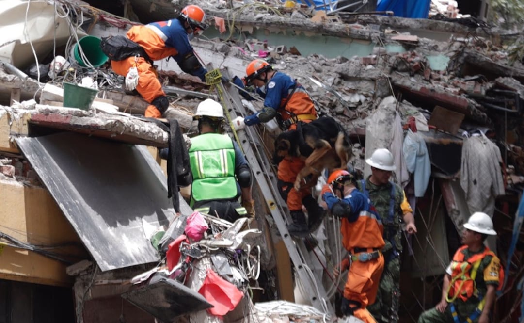 Foto de tlalpan / Ivan Stephens