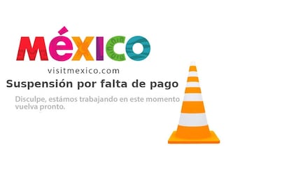 Braintivity tiene derecho de suspender operaciones de Visit México