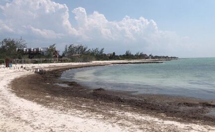 Llueve sobre mojado al turismo: además de pandemia, ¡sargazo! 