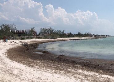 Llueve sobre mojado al turismo: además de pandemia, ¡sargazo!