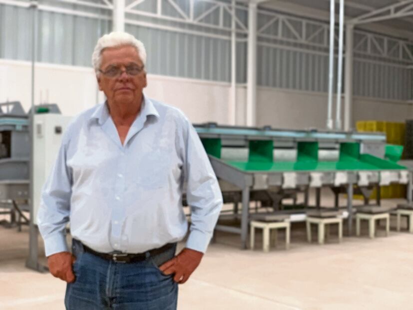 En Michoacán hay aproximadamente 84 empaques del aguacate certificados para la exportación a EU y todos están parados. Foto: Carlos Arrieta | El Universal