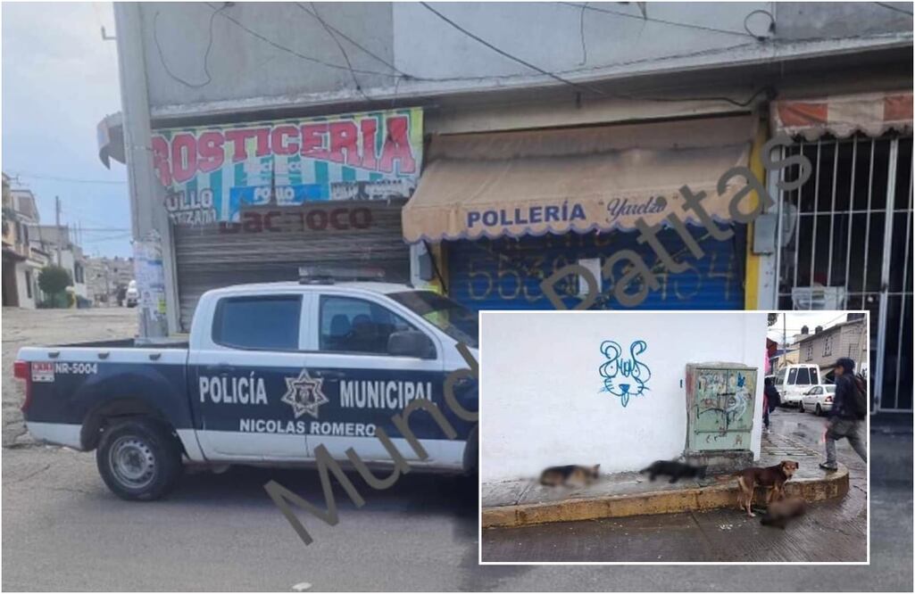 FOTO: Especial/ EL UNIVERSAL/