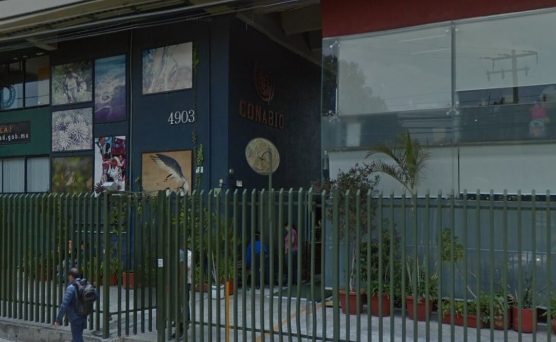 Comisión Nacional para el Conocimiento y Uso de la Biodiversidad. Foto: Google Maps