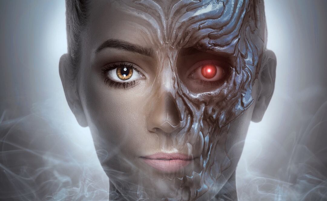 Fue desarrollado por la empresa Hanson Robotics. Imagen Pixabay