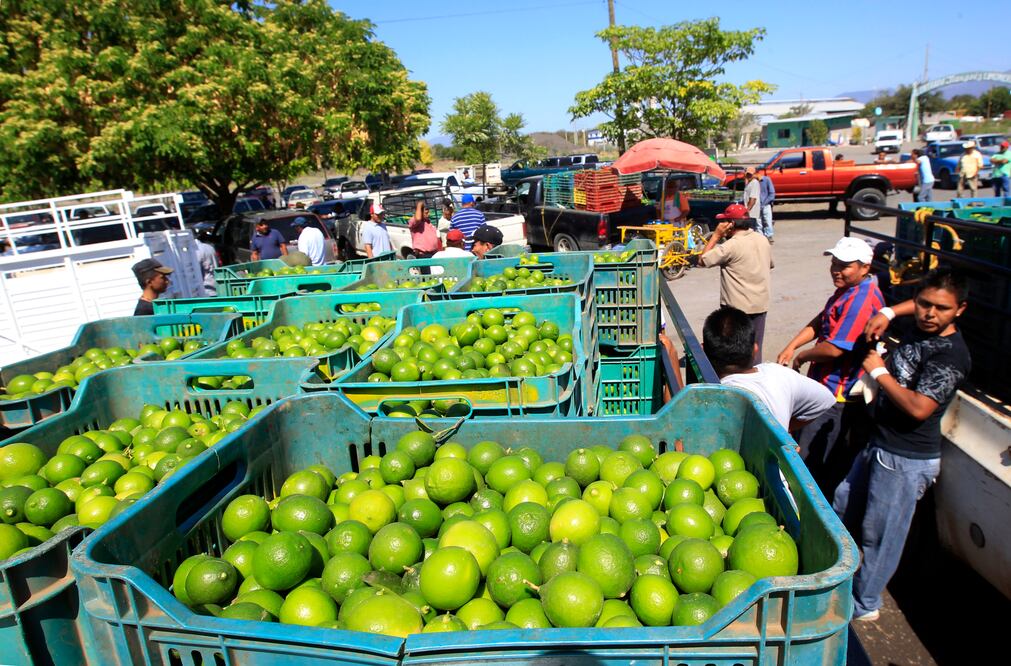 (Foto: Archivo / EL UNIVERSAL)