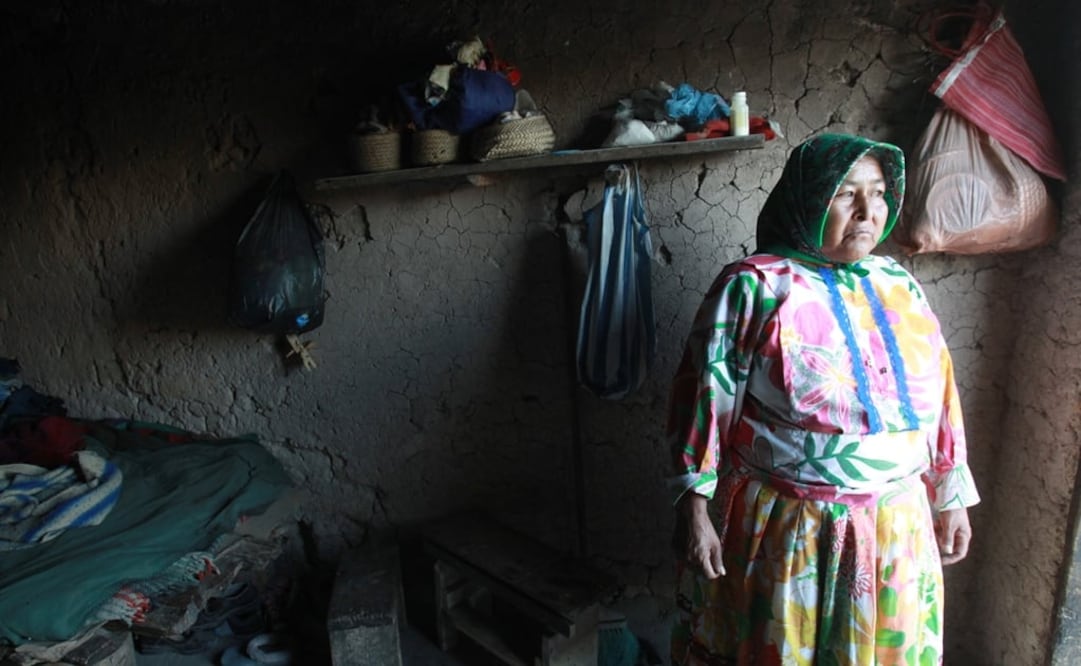 The states of Oaxaca, Yucatán, Chiapas, Quintana Roo, Guerrero, Hidalgo, Campeche, Puebla, San Luis Potosí, and Veracruz have the most indigenous language speakers in the country - Photo: Luis Cortes/EL UNIVERSAL