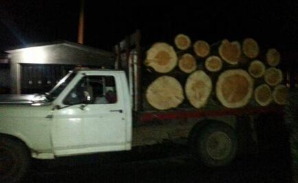 Caen 10 presuntos talamontes en reserva de la Monarca