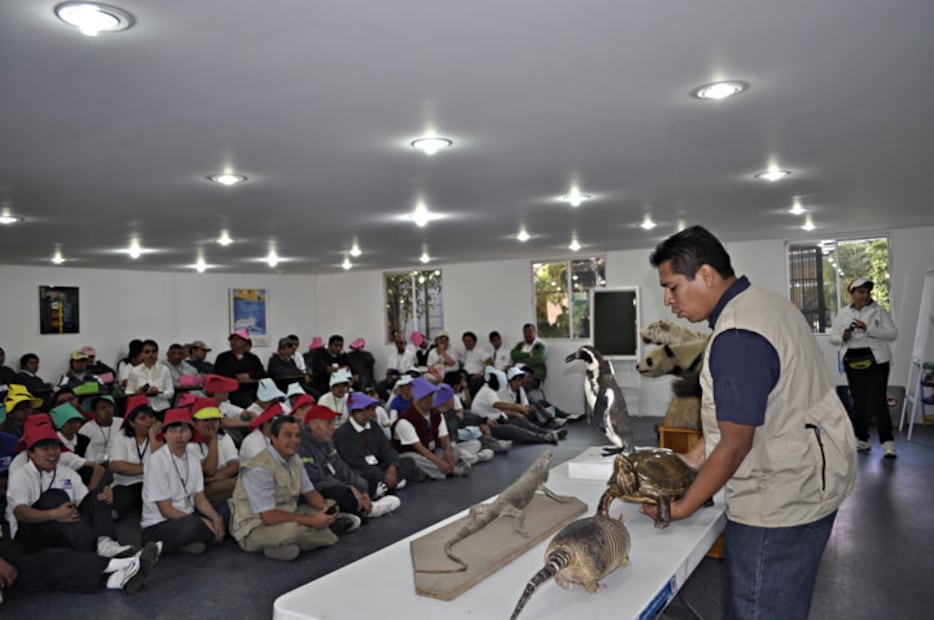 En el Zoológico de Chapultepec podrás aprender sobre la fauna del país. Foto: Sedema