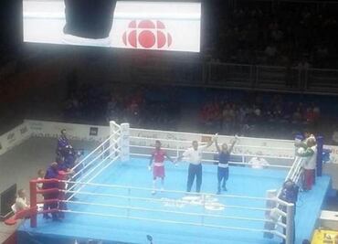 Mexican boxer wins gold in Pan Am Games