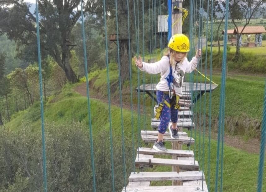 Alpinia, el parque donde se encuentra el laberinto más grande de México 