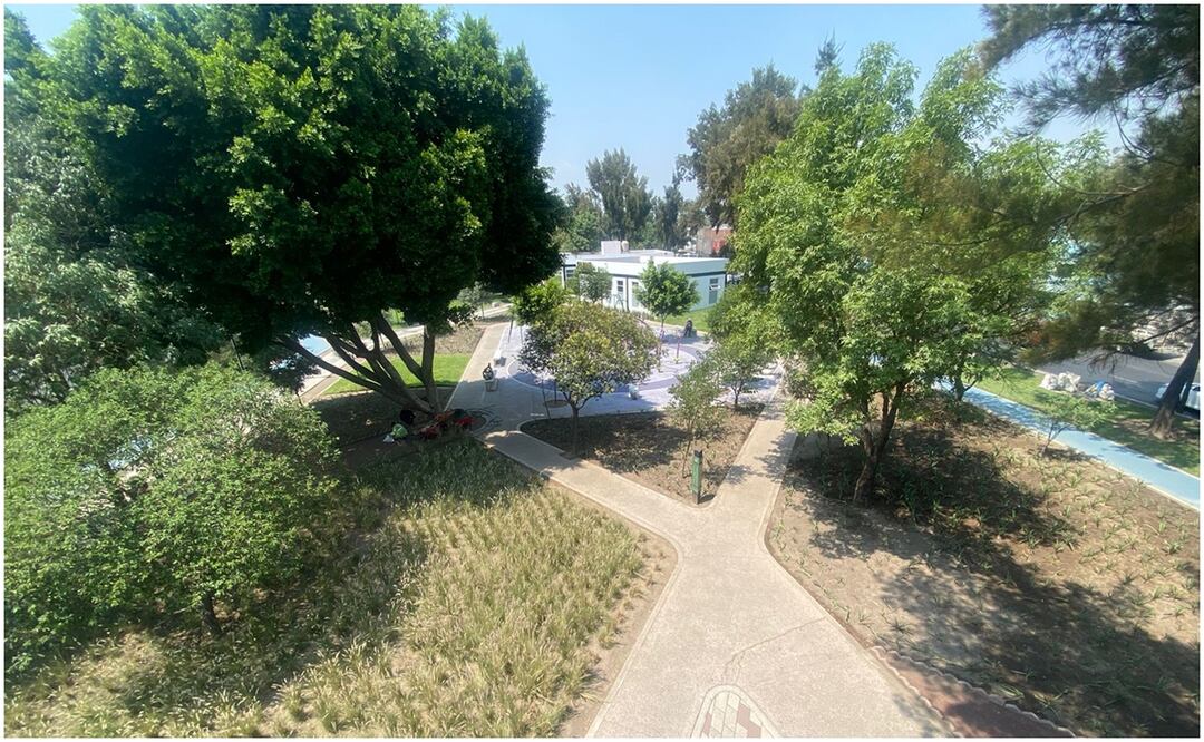 Se enfoca en la preservación del equilibrio ecológico, la protección del medio ambiente y la conservación del patrimonio biocultural. Foto: Alberto Acosta / EL UNIVERSAL