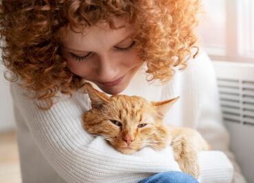 Día Internacional del Gato: Claves para el bienestar y la salud de tu felino, según experta