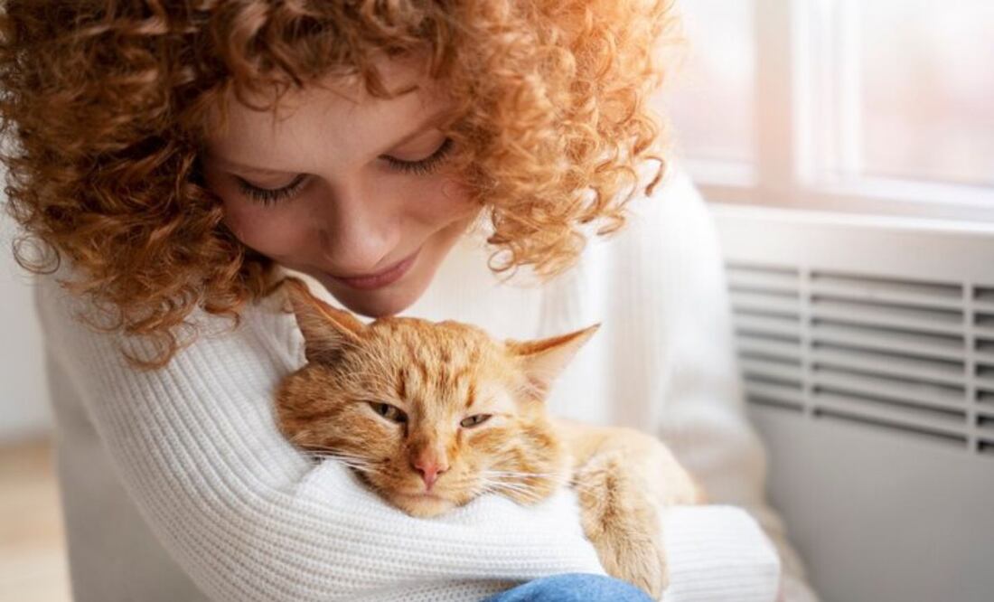 La ciencia respalda que tener un gato como compañero ofrece grandes beneficios. Fuente: Freepik.